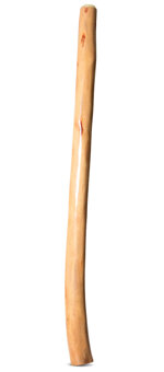 Earl Clements Large Bore Didgeridoo (EC495)